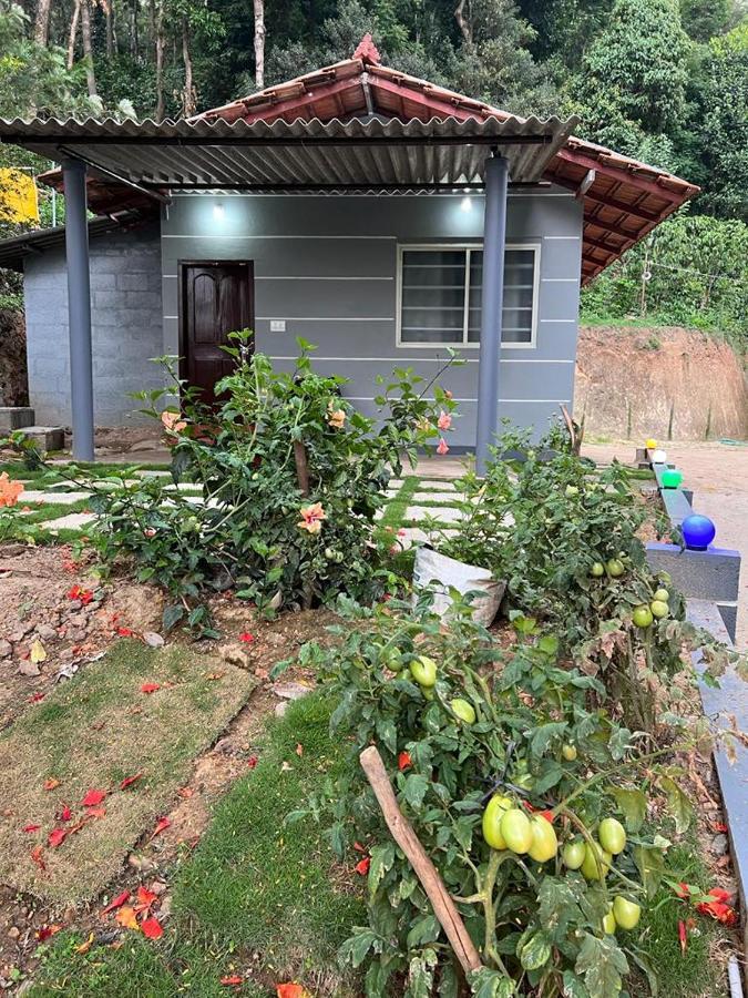 Darshan'S Home Stay Madikeri Eksteriør billede